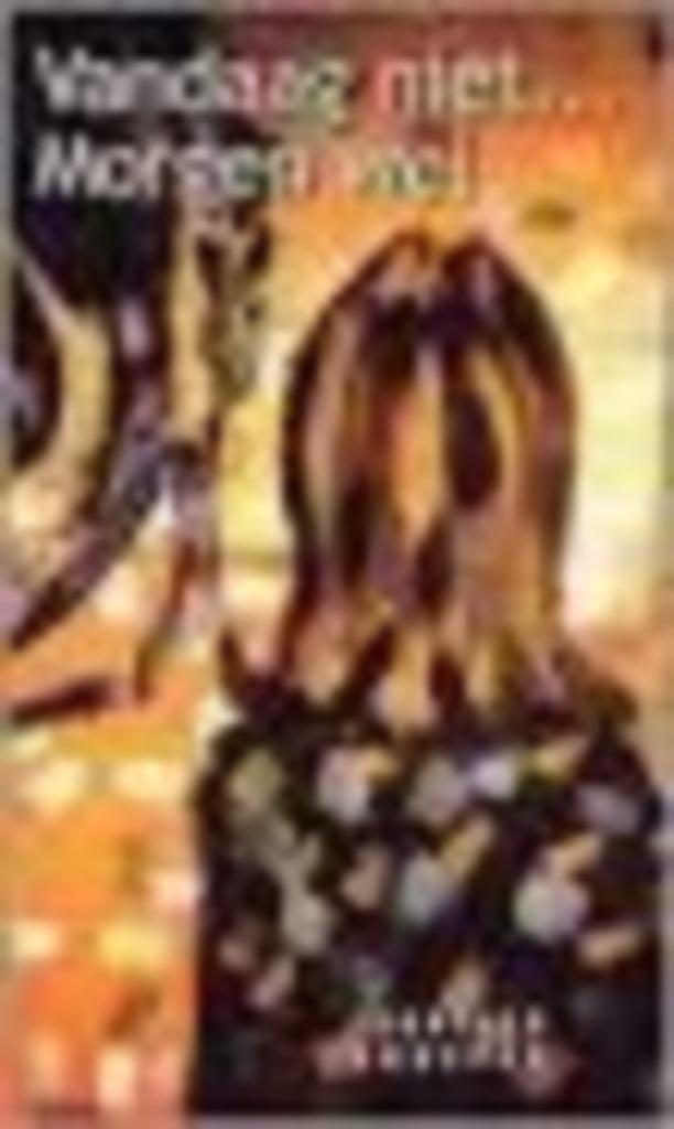 Vandaag Niet Morgen Wel Isabella Scheper BOEK 9789080764965, Boeken, Romans, Gelezen, Ophalen of Verzenden