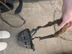 Graasmasker maat cob, Ophalen, Gebruikt, Overige soorten