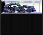 Gevraagd Zeeaquarium Peninsula, Dieren en Toebehoren, Ophalen of Verzenden, Gebruikt, Gevuld zeewateraquarium