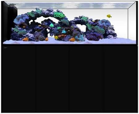 Gevraagd Zeeaquarium Peninsula, Dieren en Toebehoren, Vissen | Aquaria en Toebehoren, Gebruikt, Gevuld zeewateraquarium, Ophalen of Verzenden