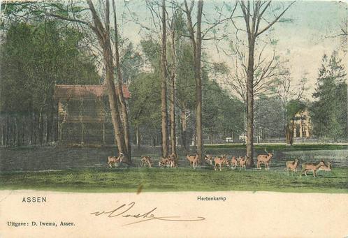(701-141-037) Assen Hertenkamp, Verzamelen, Ansichtkaarten | Nederland, Drenthe, Verzenden