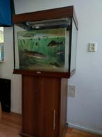 Juwel Lido 120 Aquarium met onderkast, Dieren en Toebehoren, Vissen | Aquaria en Toebehoren, Ophalen, Gebruikt, Leeg aquarium