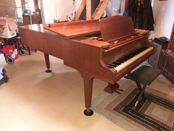 C. Bechstein vleugel uit 1901, model B (203 cm) beschikbaar voor biedingen