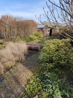 Tuinonderhoud, Aanleg en Afvoer van Tuinafval!, Tuin en Terras, Planten | Bomen, Overige soorten, Volle zon, Ophalen of Verzenden