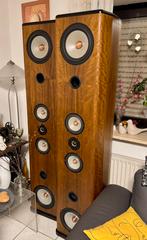 TYLER ACOUSTICS WOODMERE HIGHEND SEAS LOUDSPEAKER, Ophalen, Zo goed als nieuw, Front, Rear of Stereo speakers, Overige merken