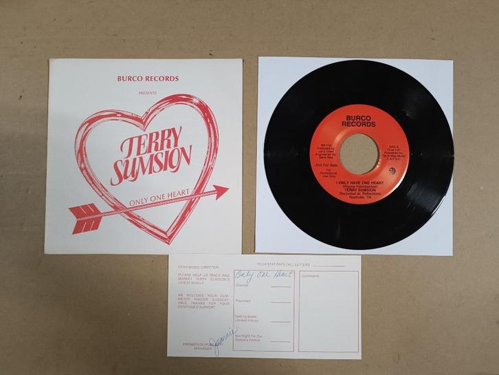 Single: Terry Sumsion - I Only Have One Heart (1987) USA, Cd's en Dvd's, Vinyl Singles, Gebruikt, Pop, Verzenden