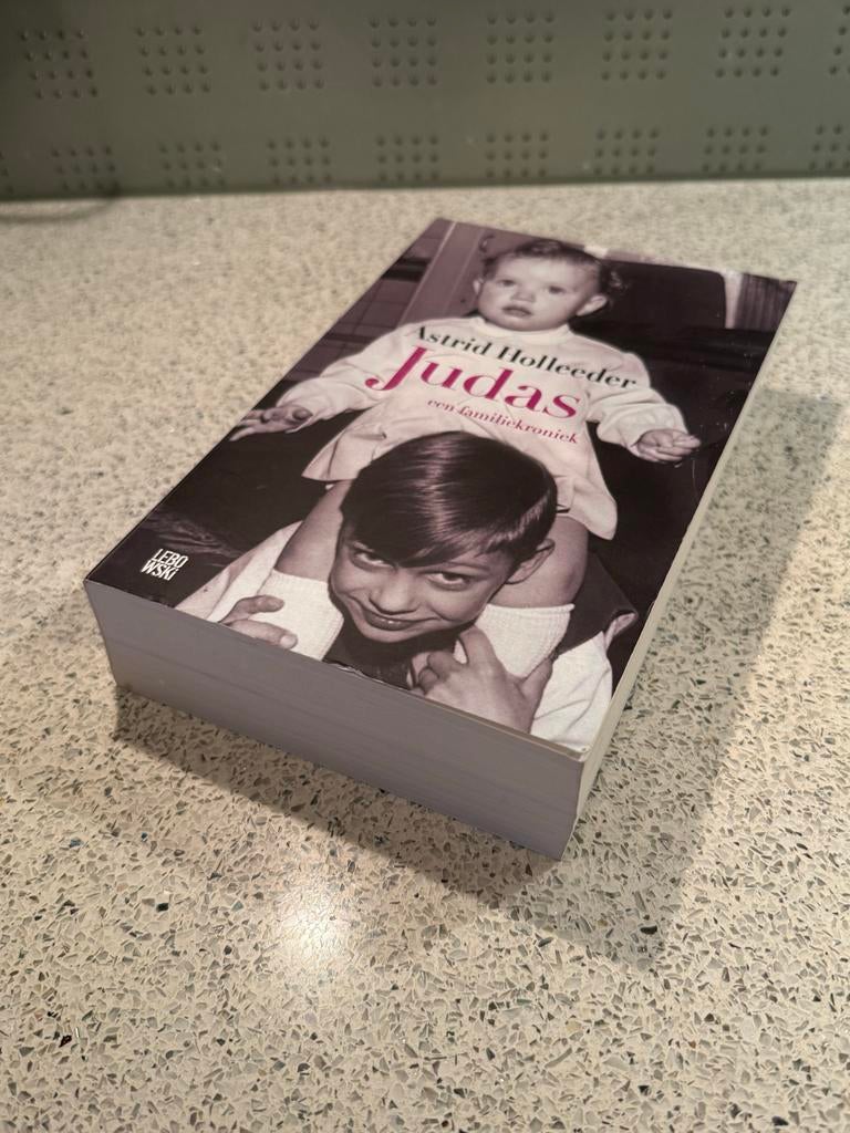 Astrid Holleeder - Judas, Ophalen of Verzenden, Gelezen, Nederland