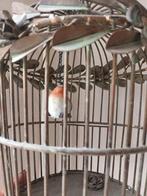 Sier vogelkooitje (dus nep), Ophalen