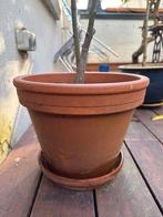 Terracotta bloempot met schotel - Ø 34 cm, H 28 cm, Tuin en Terras, Bloempotten, Gebruikt, Rond, Binnen, Minder dan 40 cm