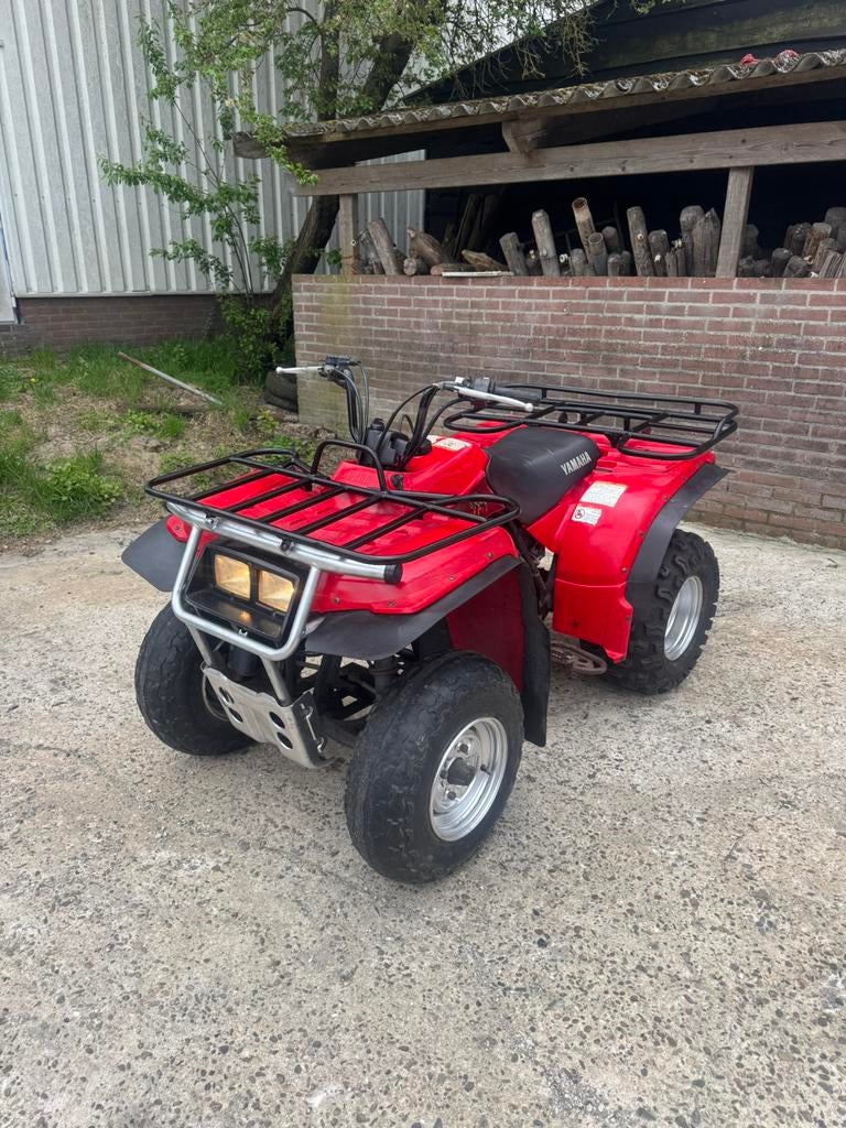 Yamaha Timberwolf 250 Quad, Motoren