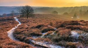 20% korting pp Dagkaart Park - Nat. Park de Hoge Veluwe, Tickets en Kaartjes, Drie personen of meer, Kortingskaart