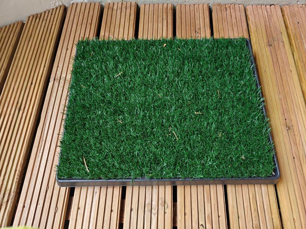 Plasmat hond, Dieren en Toebehoren, Ophalen, Gebruikt