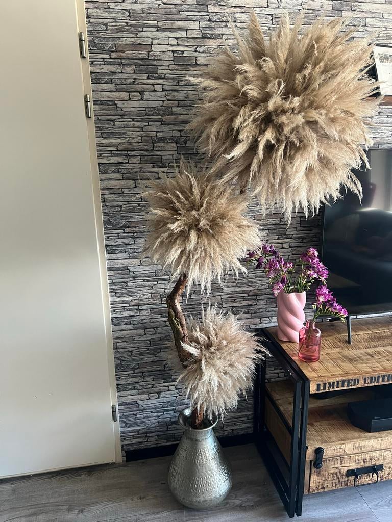 Pampas boom met 3 bollen, Ophalen, Zo goed als nieuw