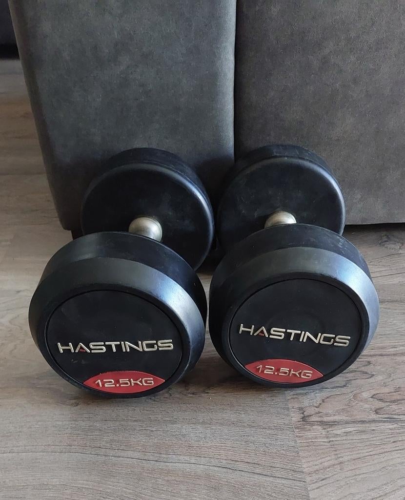 Hastings dumbbells 2x12.5 kg in prima kwaliteit, Ophalen, Gebruikt, Benen, Dumbbell