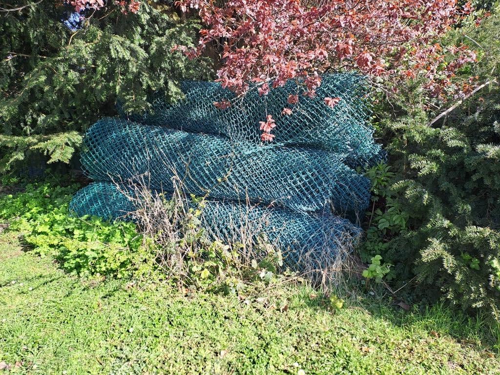 afrastering .gaas 210 hoog ., Meerdere dieren, Kip