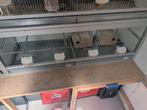 Broedkooien aluminium en trespa, Dieren en Toebehoren, Vogels | Hokken en Kooien, Ophalen, Aluminium, Broedkooi of Kweekkooi