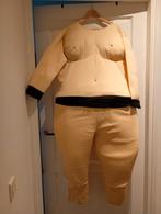 Dikmaak kostuum, sumo worstelaar, carnaval, Ophalen, Carnaval