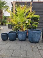 Glyfiber bloempotten, diverse maten, met of zonder plant, Ophalen, Overige materialen, 40 cm of meer, Rond