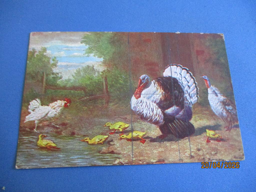 42 dieren, Ophalen of Verzenden, Voor 1920, Ongelopen, Natuur