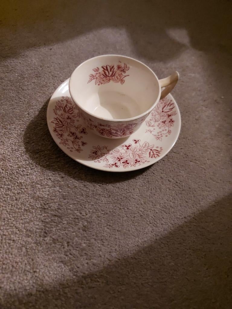 Petrus regout Maastricht   kop en schotel Betty, Ophalen of Verzenden