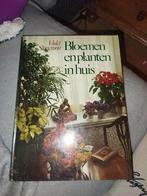 Bloemen en planten in huis - Violet Stevenson, Ophalen of Verzenden