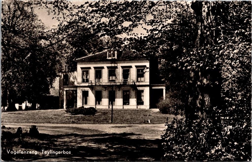 Vogelenzang - Teylingerbos, Verzenden, 1940 tot 1960, Ongelopen, Noord-Holland
