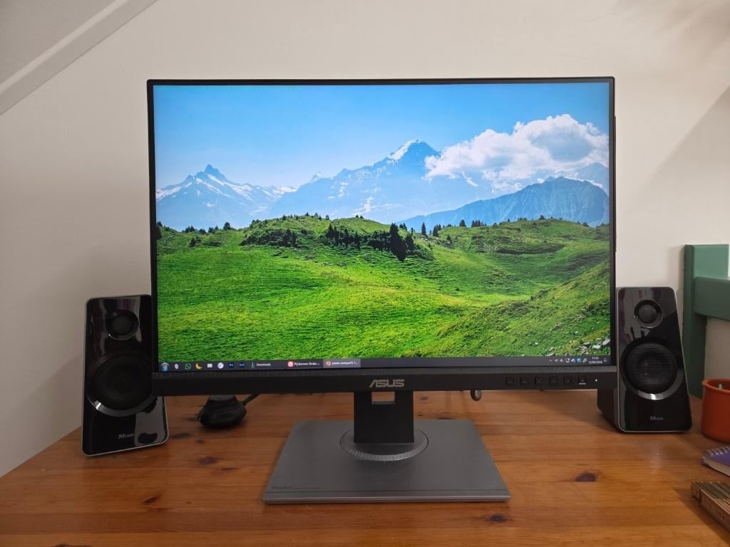 ASUS ProArt PA248QV 24" IPS monitor – 100% sRGB, Computers en Software, Monitoren, In hoogte verstelbaar, IPS, Ophalen of Verzenden
