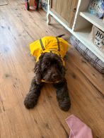 Regenjas voor hond, Ophalen