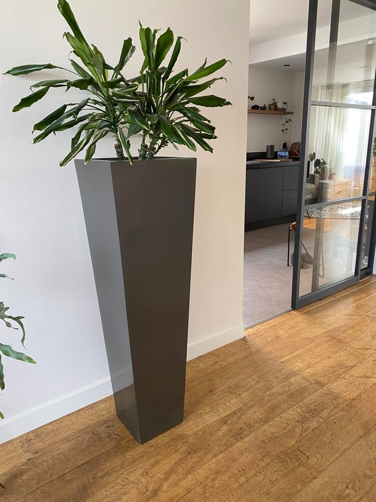 Mooie plantenzuil, Huis en Inrichting, Woonaccessoires | Zuilen en Pilaren, Ophalen, Gebruikt