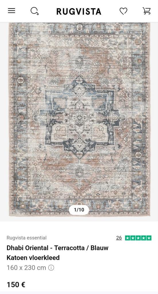 2,stuk Vloerkleed met oriëntaals patroon, terracotta/blauw, Ophalen, Zo goed als nieuw