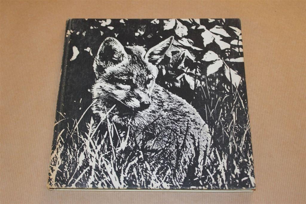 Het verhaal van... de kleine vos. Uitgave 1967., Ophalen of Verzenden, Gelezen