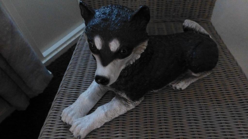 husky, Ophalen of Verzenden, Zo goed als nieuw