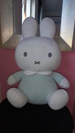 Grote Nijntje knuffel lichtgroen, Ophalen, Zo goed als nieuw, Konijn