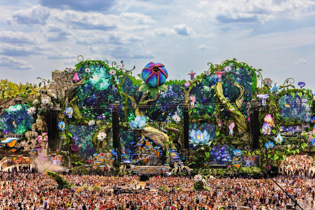 Tomorrowland Day Tickets, Tickets en Kaartjes, Twee personen