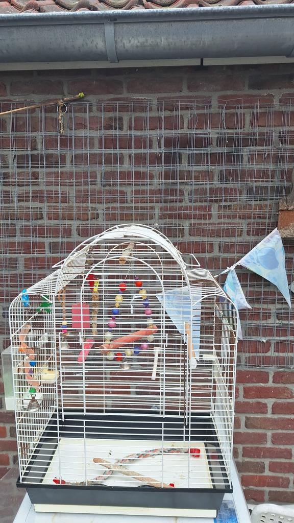 Papegaai kooi, Ophalen of Verzenden, Metaal, Vogelkooi