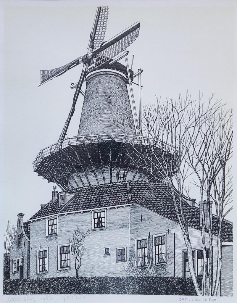 Sees Vlag (1934-2018) - Delft - Molen de Roos (#175), Ophalen of Verzenden