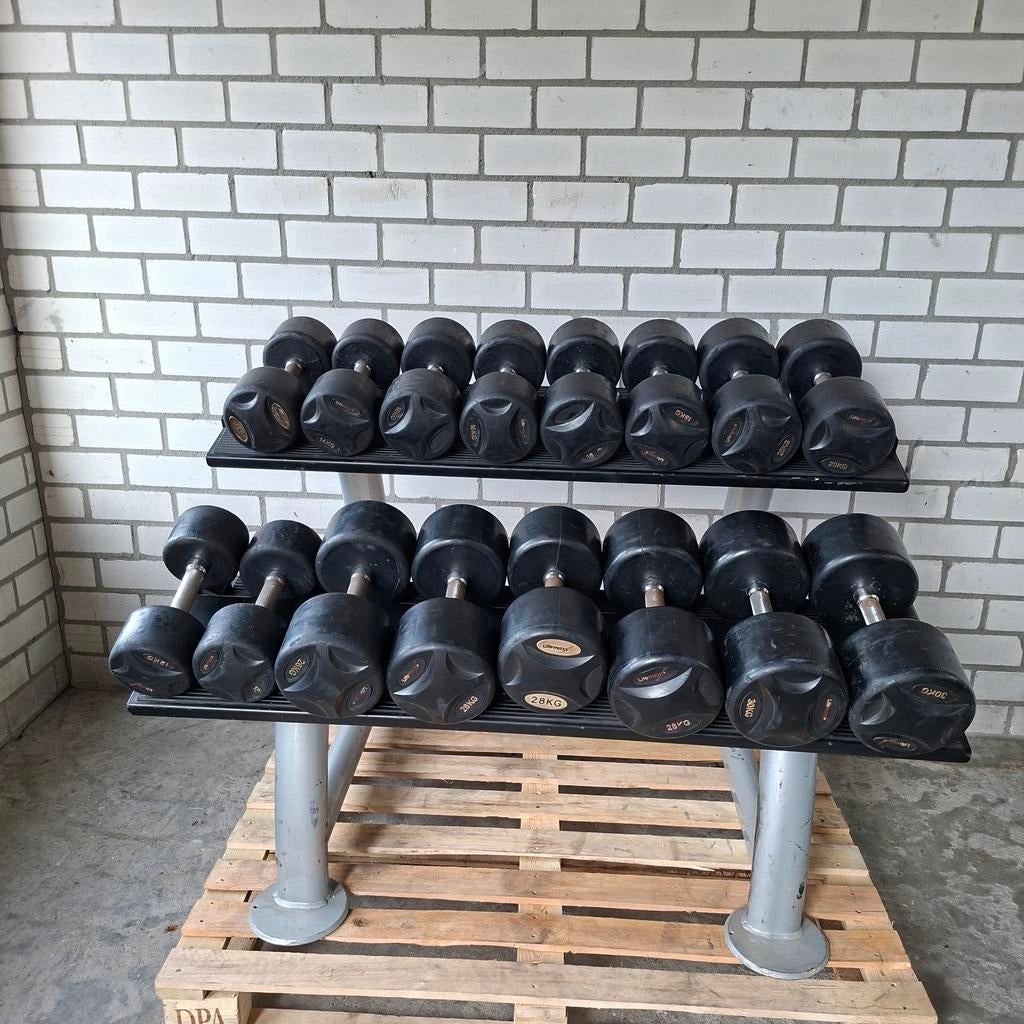 Lifemaxx Dumbells Set 12 kilo tot 30 kilo + Dumbellrek, Ophalen, Zo goed als nieuw, Dumbbell