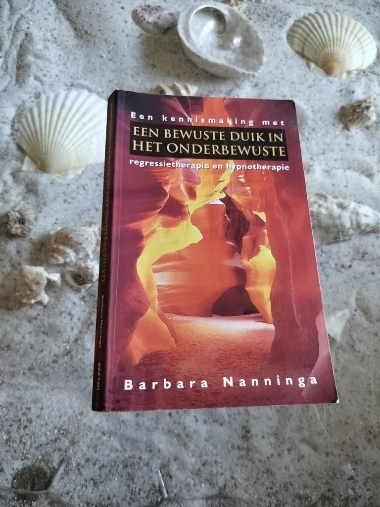 B. Nanninga - Een bewuste duik in het onderbewuste, Gelezen, B. Nanninga, Ophalen of Verzenden, Ontwikkelingspsychologie