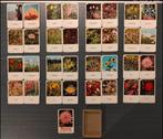Vintage Bloemen kwartetspel, Verzamelen, Speelkaarten, Jokers en Kwartetten, Ophalen of Verzenden