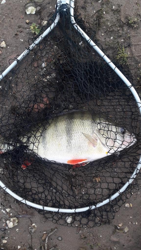 Gezocht extra spoel Mitchell mag pro extreme 2000, Ophalen of Verzenden, Zo goed als nieuw, Molen