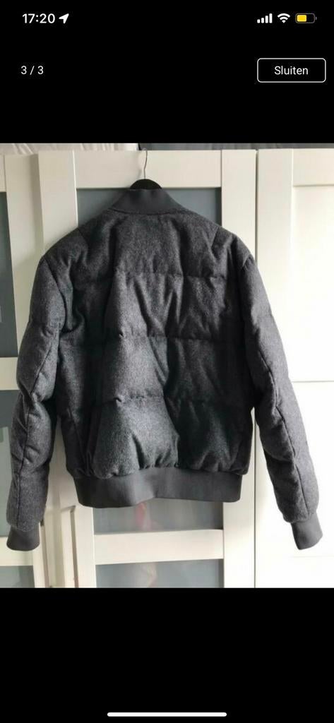 Mannen bombberjas ( Tomy halfinger), Ophalen of Verzenden, Zo goed als nieuw, Maat 48/50 (M), Blauw