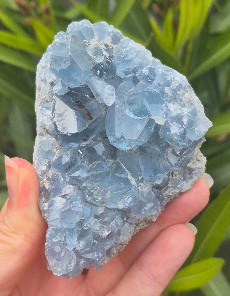 Celestien, Verzamelen, Mineralen en Fossielen, Ophalen of Verzenden