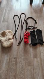 Halster, touwen, chaps XL, longeerlijn, Dieren en Toebehoren, Ophalen of Verzenden