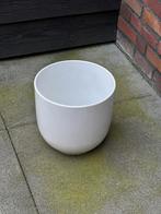 Witte ronde plantenpot voor binnen of buiten, 25 tot 40 cm, Kunststof, Gebruikt, Rond