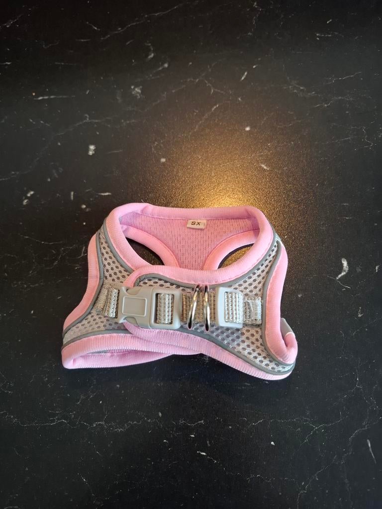 Nieuw Honden tuigje maat XS, Ophalen of Verzenden, Nieuw