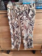 Cambio maat 42, Kleding | Dames, Ophalen of Verzenden, Zo goed als nieuw