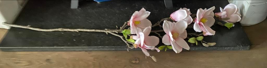 Decoratieve Magnoliatak - Lengte 120 cm, Ophalen of Verzenden, Zo goed als nieuw, Binnen