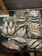 Doodaas voorn, Watersport en Boten, Hengelsport | Roofvissen, Ophalen of Verzenden, Nieuw, Overige typen