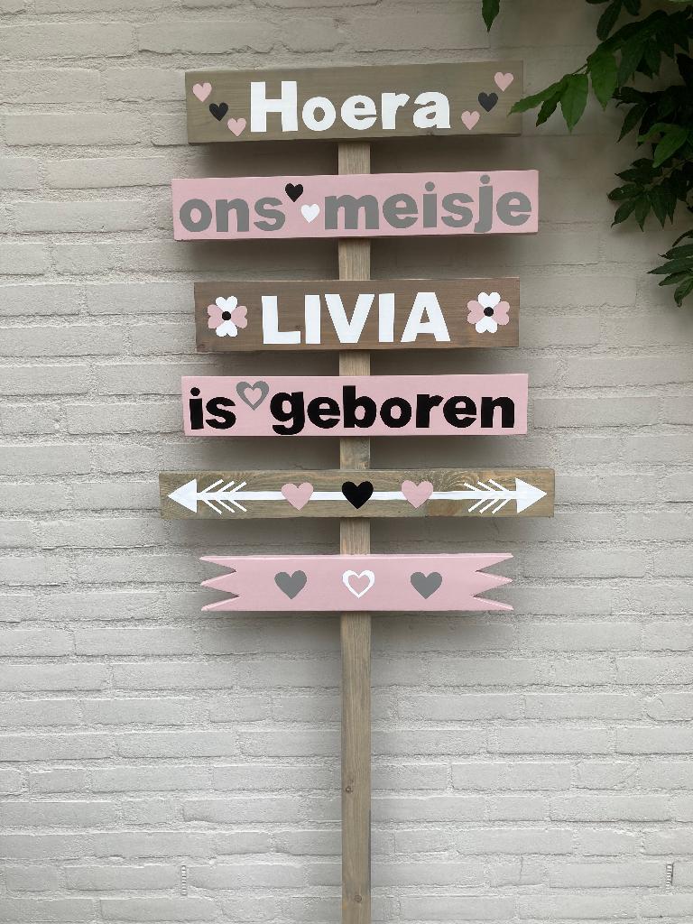 geboorte bord meisje, Ophalen of Verzenden, Nieuw, Geboortebord