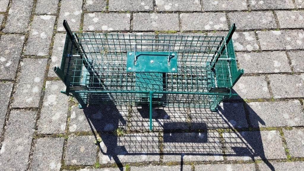 Ongediertebestrijding Vangkoop, Doorloopval met 2 ingangen., Ophalen of Verzenden, Gebruikt, Overige typen